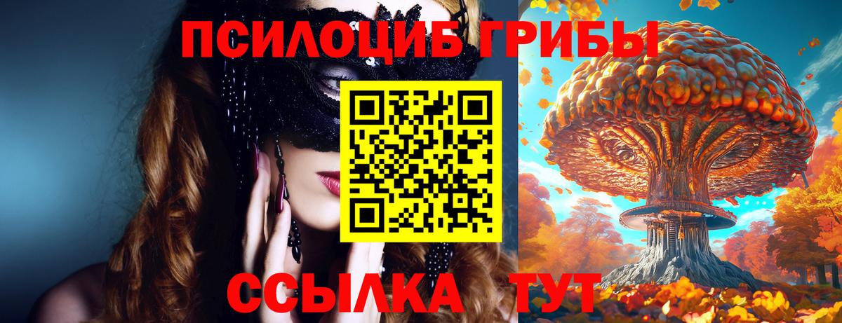 Ртищево  Галлюциногенные грибы прущие грибы  Вход с VPN 